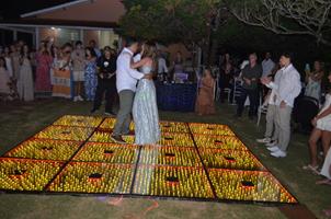 Plantas: imagem 7 de 15